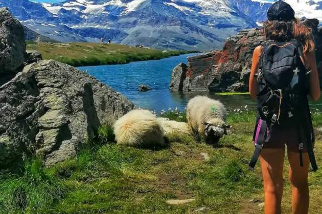La Neus Rossell i el Jair Domínguez, escapada romàntica als Alps IG La Neus Rossell i el Jair Domínguez, escapada romàntica als Alps IG