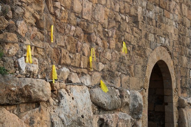 llaós grocs muralla tarragona ACN llaós grocs muralla tarragona ACN
