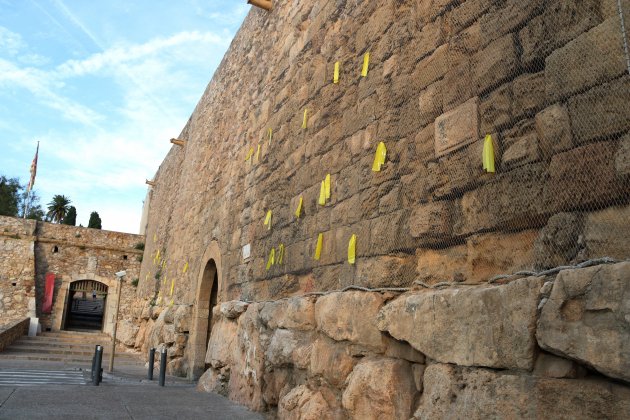 llaós grocs muralla tarragona 2 ACN llaós grocs muralla tarragona 2 ACN
