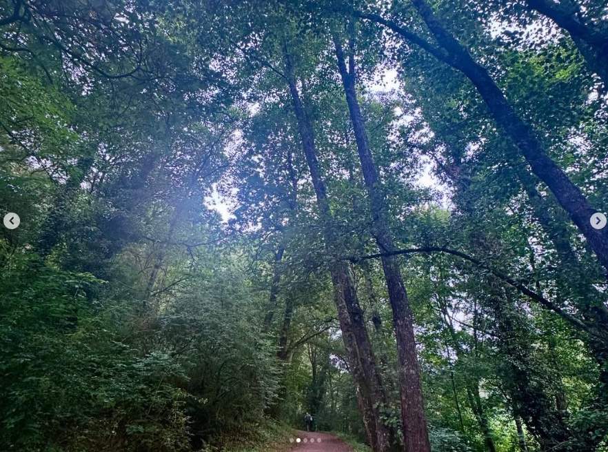 Camino de Santiago visto por Marta Bosch, Ig Camino de Santiago visto por Marta Bosch, Ig