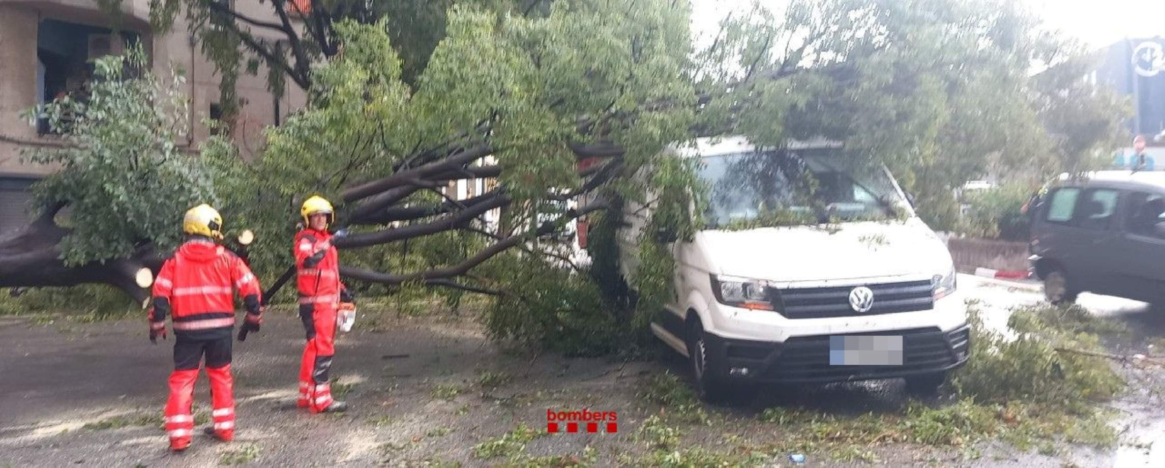 Carrers negats i arbres caiguts arreu de Catalunya pel pas del temporal