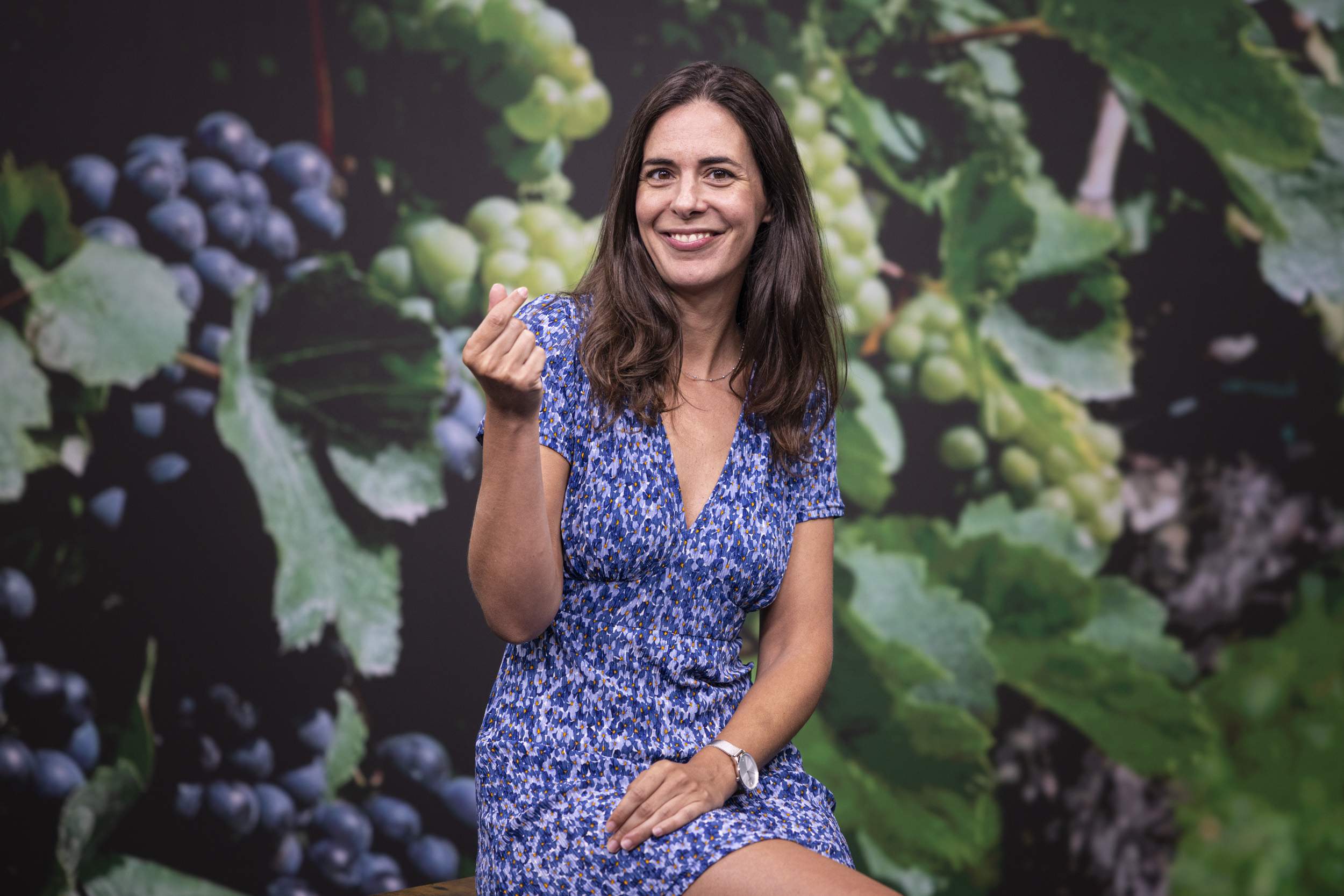 Aquests són els vins més cars de Catalunya: negres del Priorat i escumosos de llargues criances