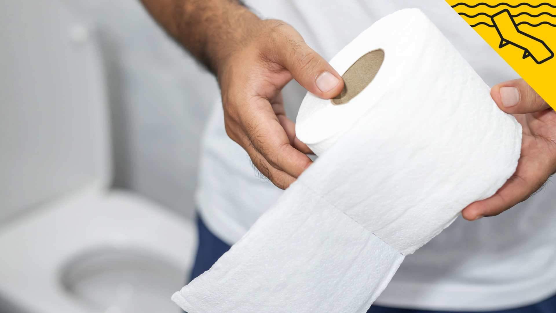 El truc del paper higiènic que evitarà que et piquin els mosquits aquest estiu