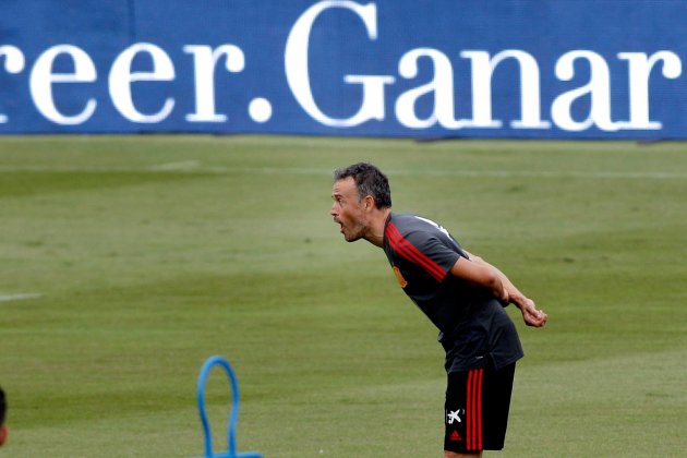 Luis Enrique selecció espanyola EFE