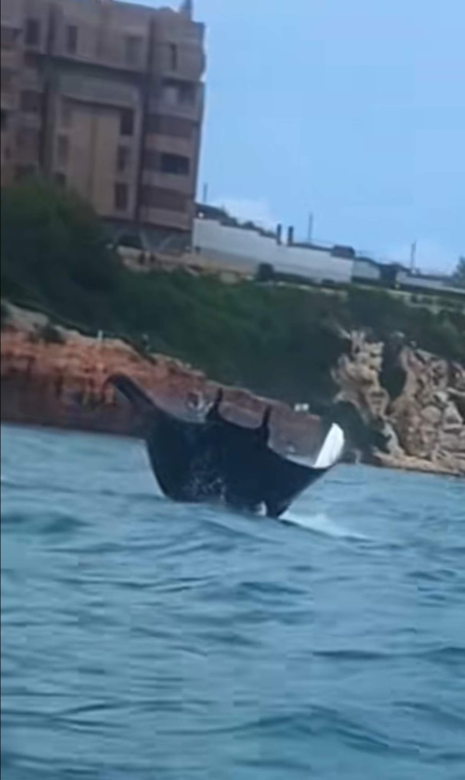 Una manta gegant sorprèn els banyistes a Salou