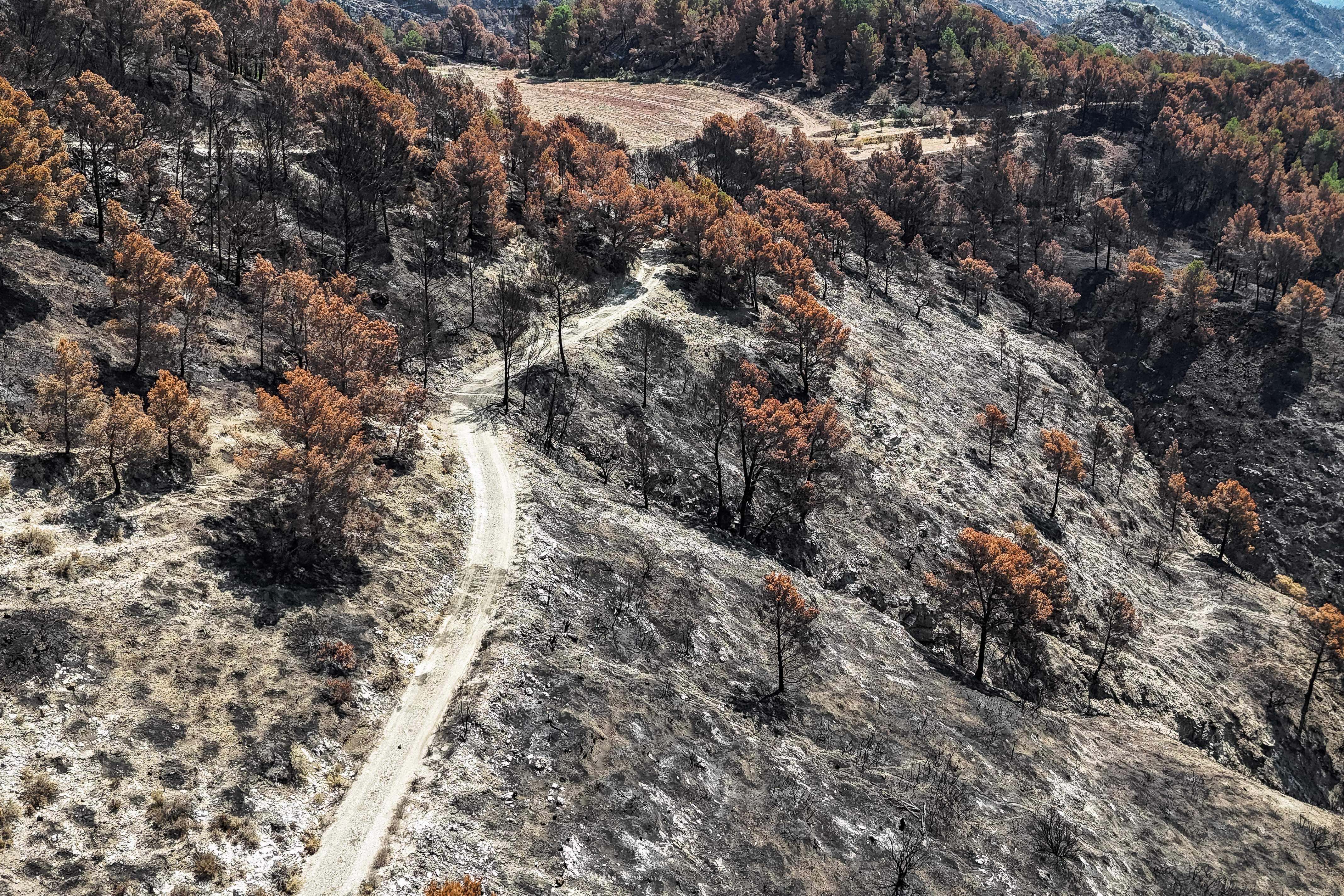 Riesgo extremo de incendio en el sur del país por el viento de mistral este domingo