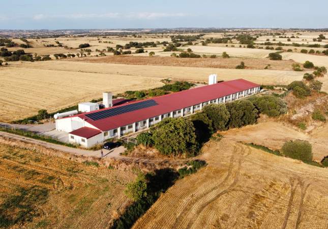 Granja Aeria 2