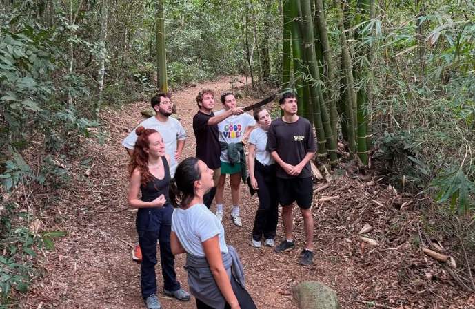 Los siete del Brasil, Instagram