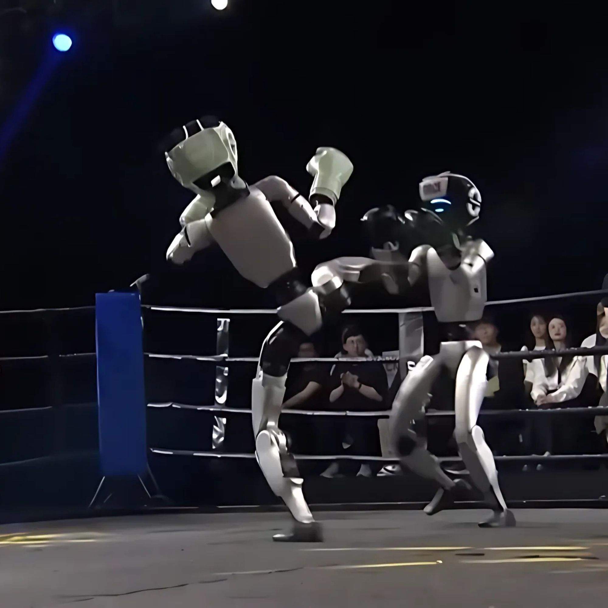 Els robots boxejadors ja lluiten a la Xina: serien capaços de vèncer Ilia Topuria?