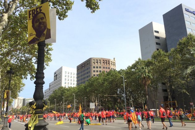 diada diagonal - carlota camps diada diagonal - carlota camps