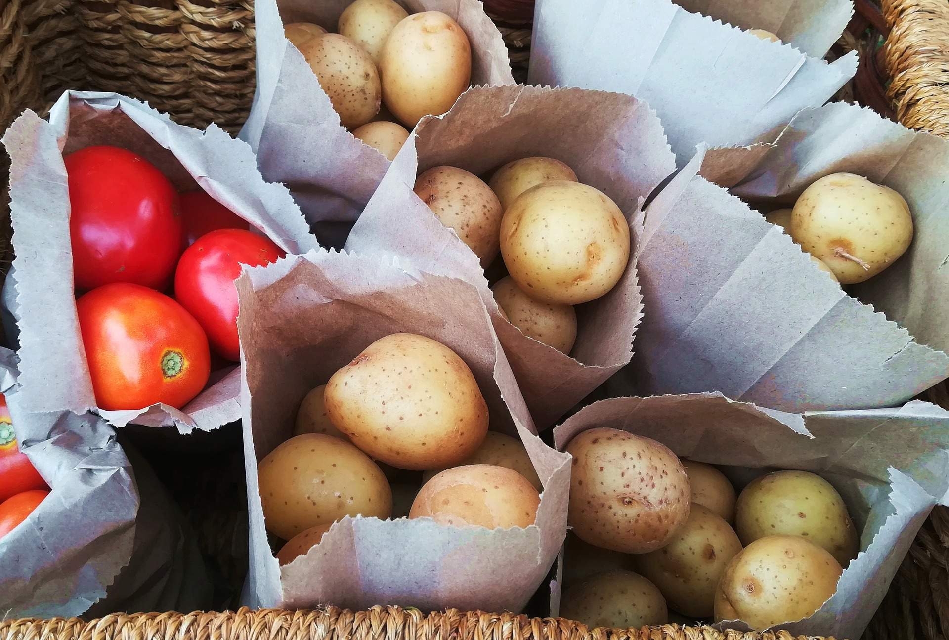 Sorprenent troballa: la patata va sorgir d'una evolució del tomàquet fa 9 milions d'anys