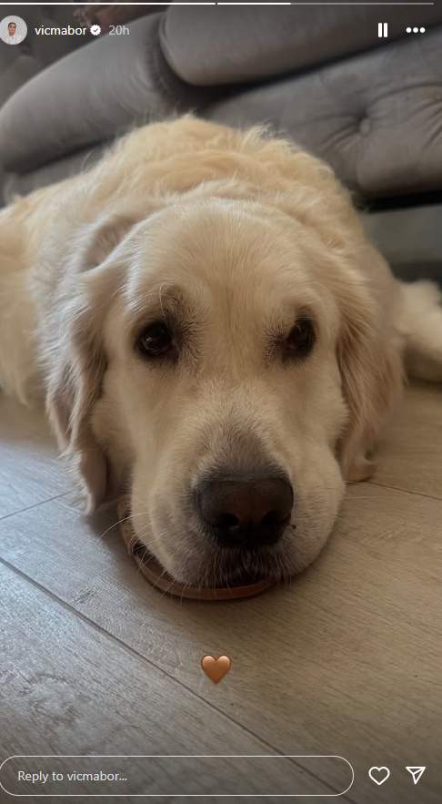 El perro de Victoria Federica, Ig El perro de Victoria Federica, Ig