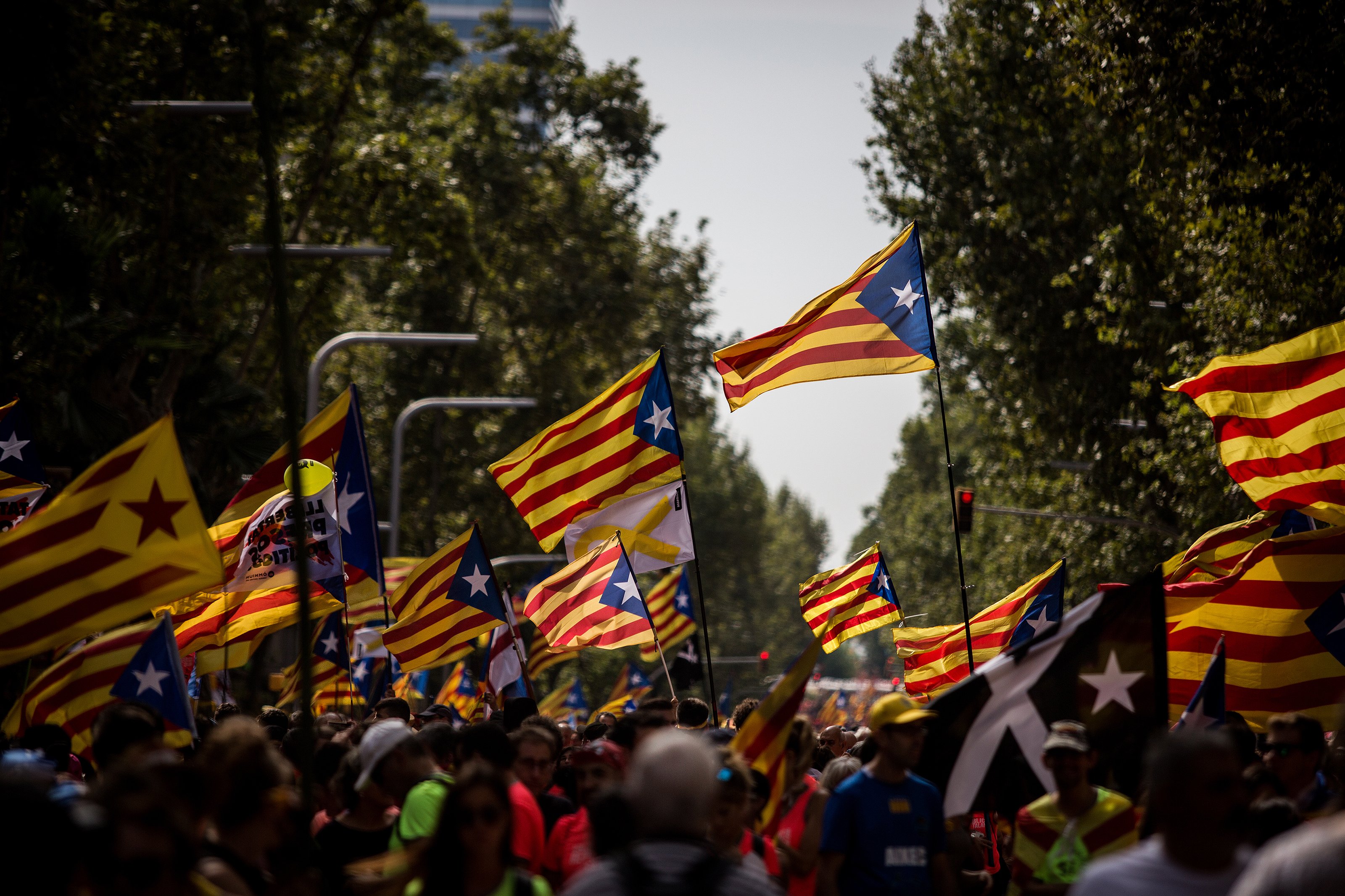 Los voluntarios quieren hacer crecer el Consell per la República en la Diada