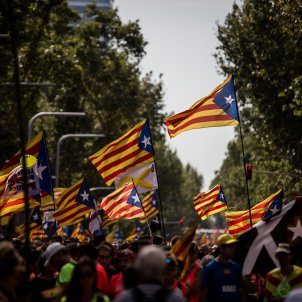 diada 2018 11 setembre estelades (qualitat bona) - Carles Palacio