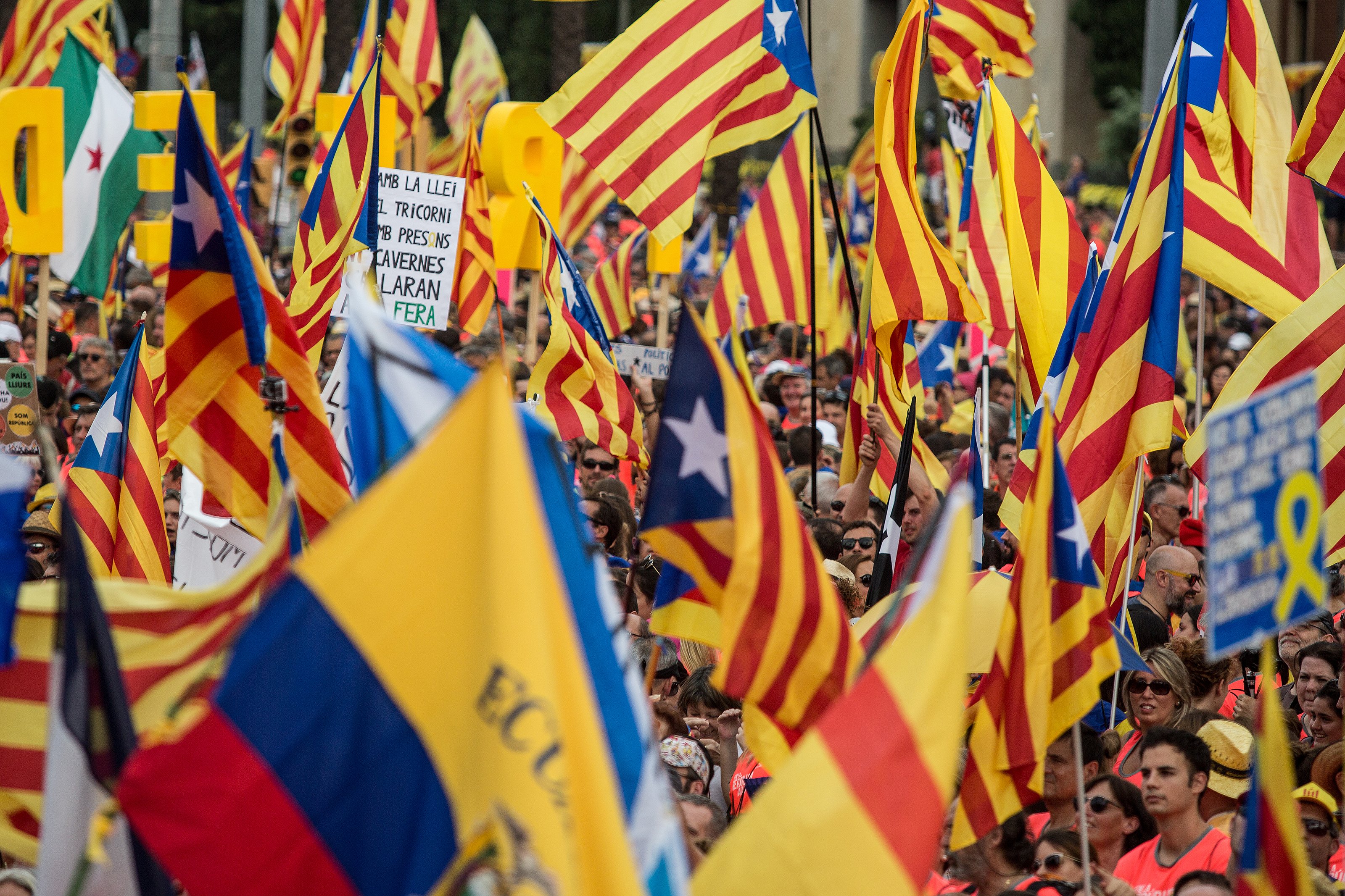 Les manifestacions, permeses a Catalunya