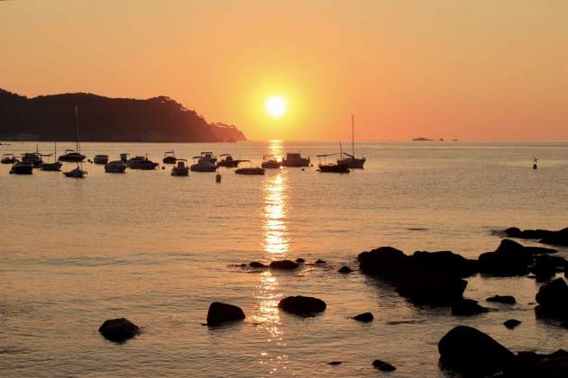 Palamós 5 8 25 @eltempsTV3 @aquilatierratve @tiemp