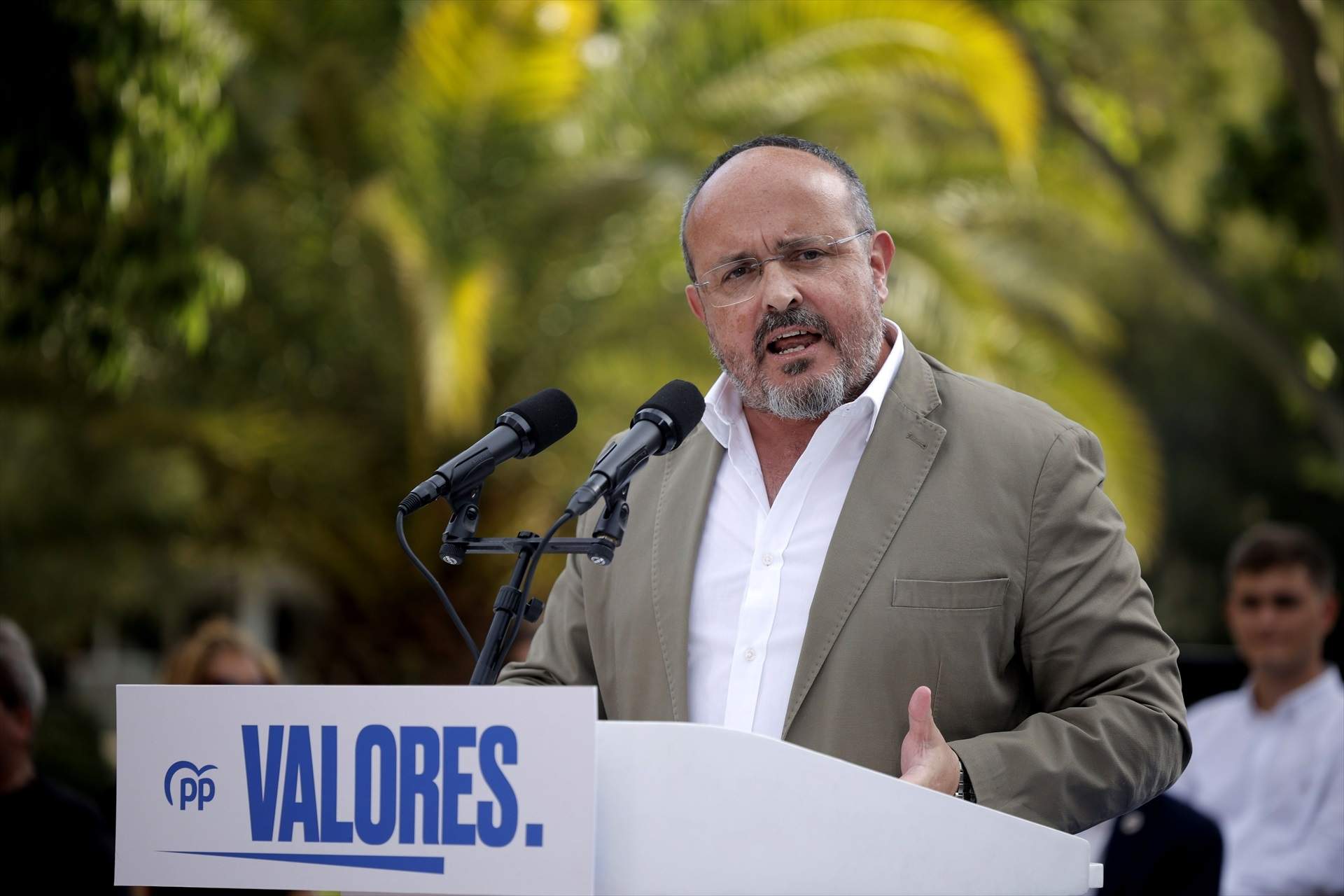Quin és el partit del Parlament que té més diputats que no han declarat els seus estudis?