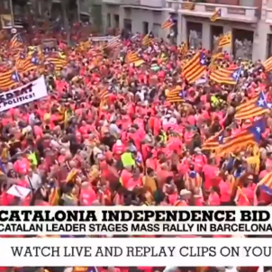 France24 France24
