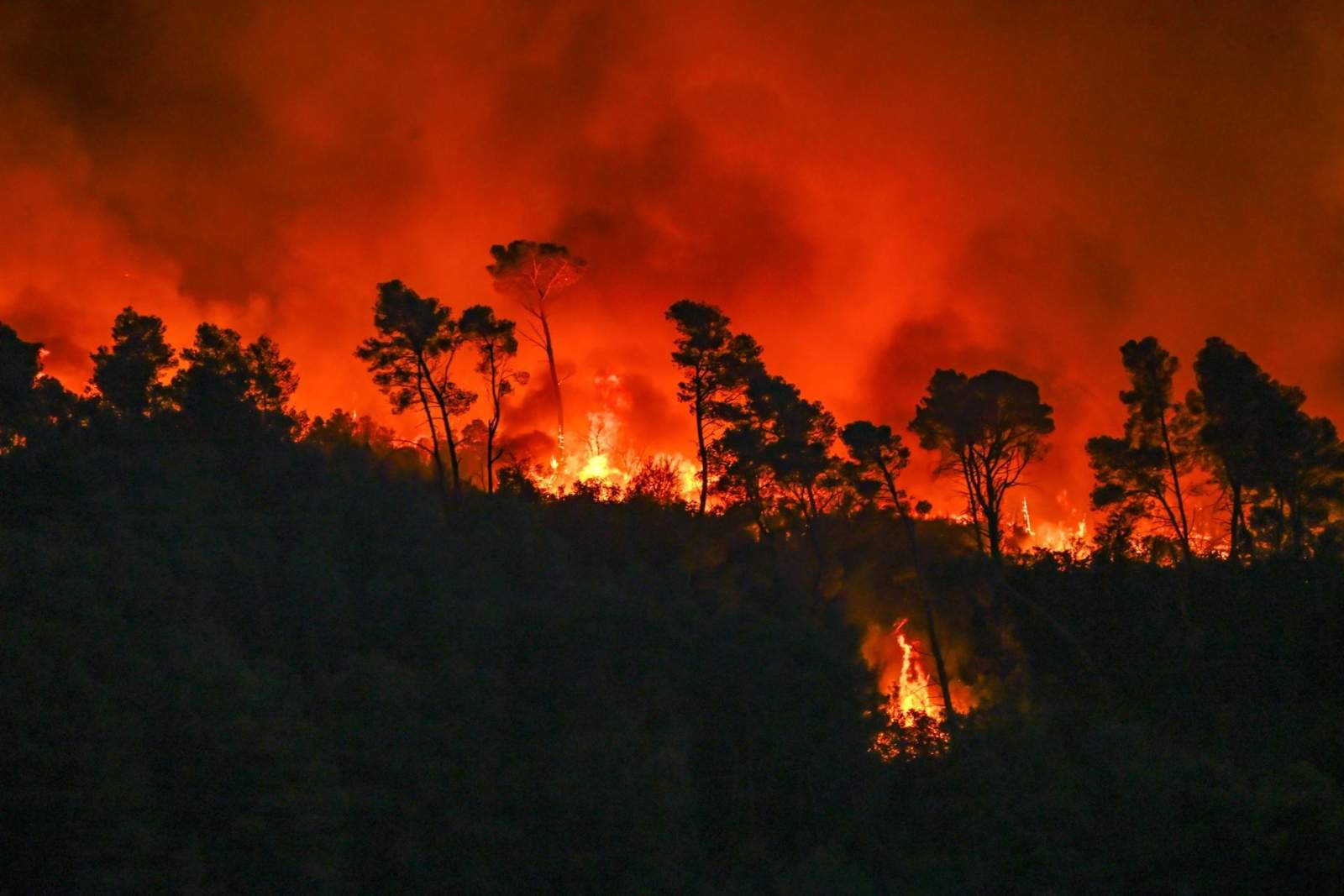 L'incendi a Occitània que ha cremat més de 17.000 hectàrees, controlat després de dos dies actiu
