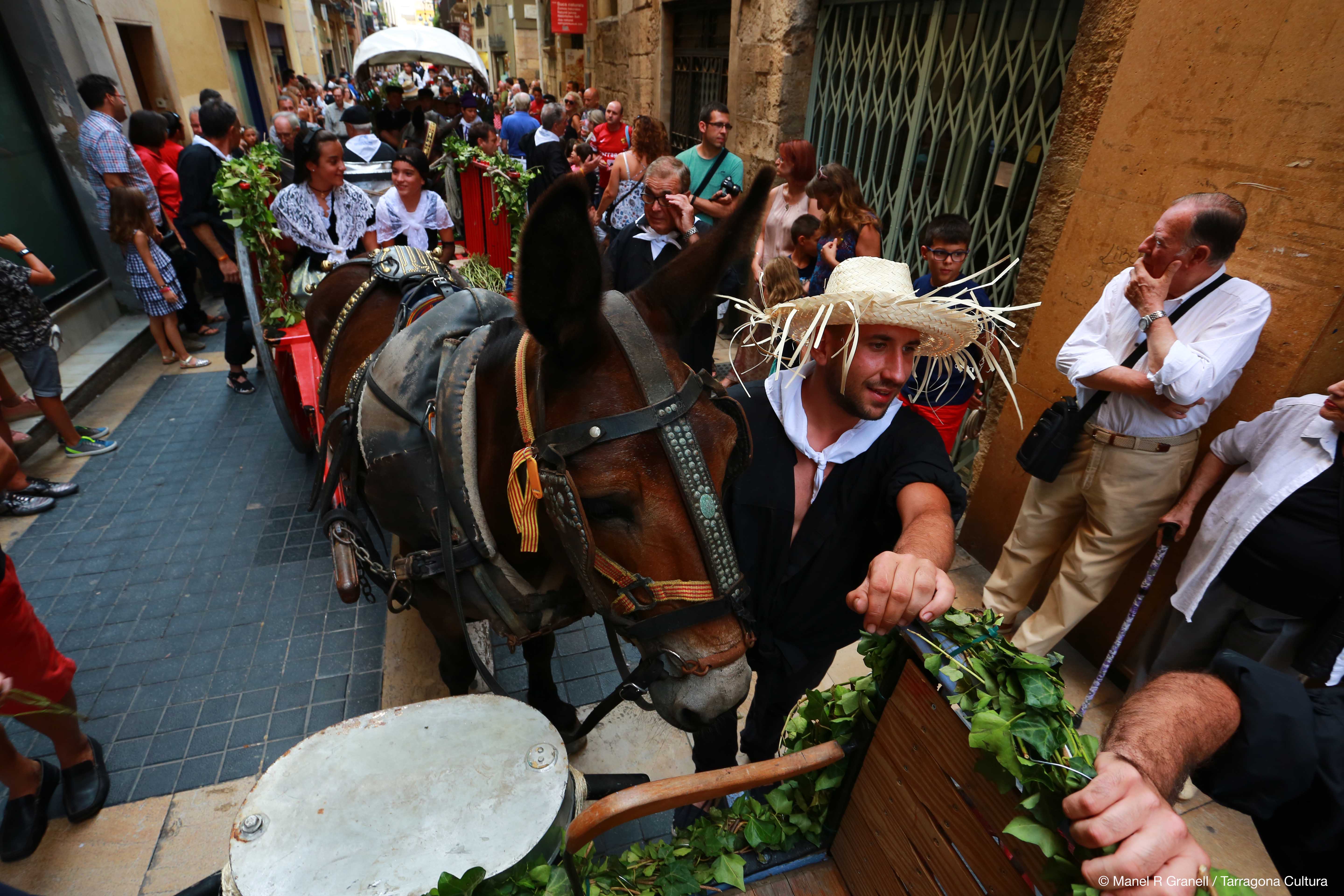 Fiesta Mayor Santo Magi Foto Manel R Granell Tarragona Cultura