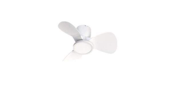 Ventilador de techo