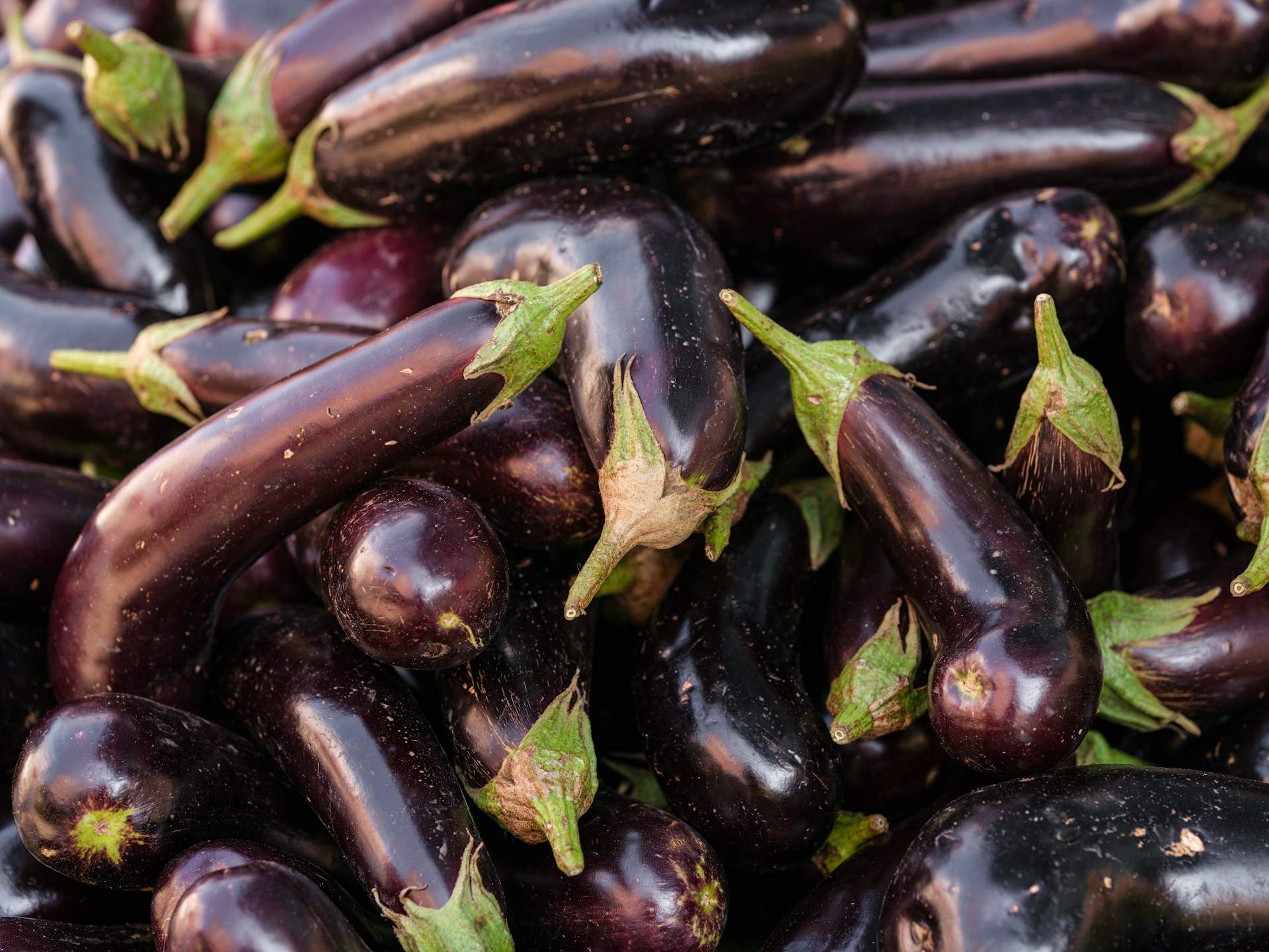 Albergínia unsplash