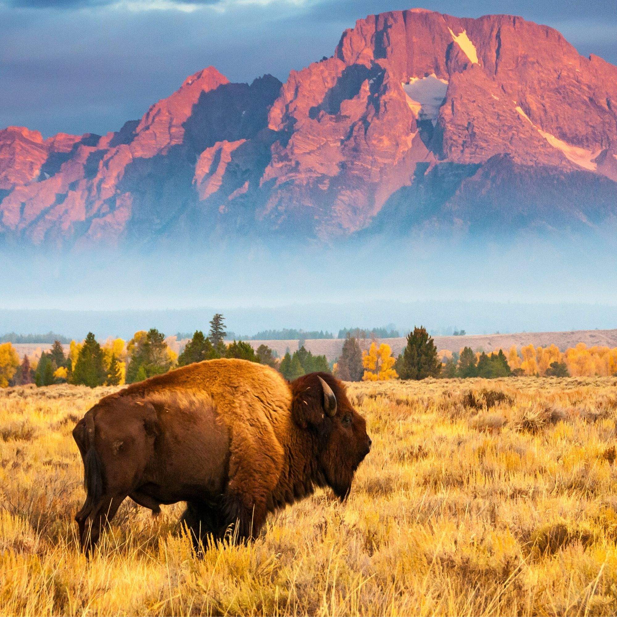 Wyoming Estats Units