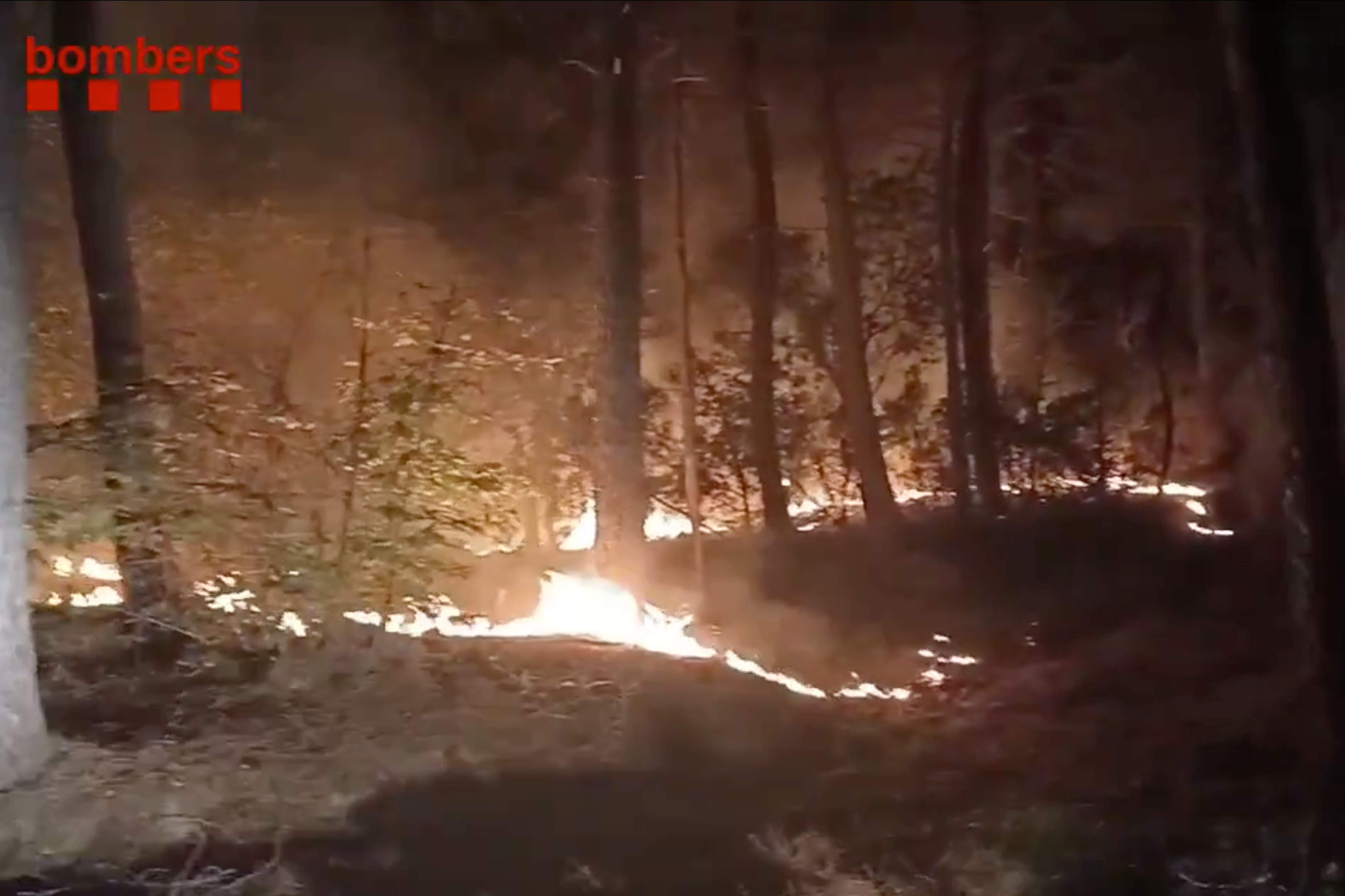 Incendi forestal amb tres focus entre Amer i Susqueda