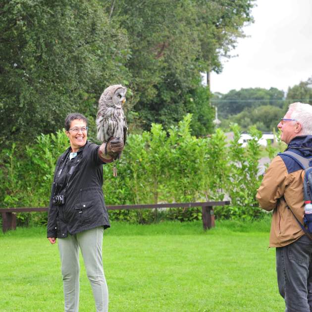 Falconery Kerry. Els nostres companys Silvia i Xavier, amb un mussol de falconeria / Cedida: Antoni Florensa