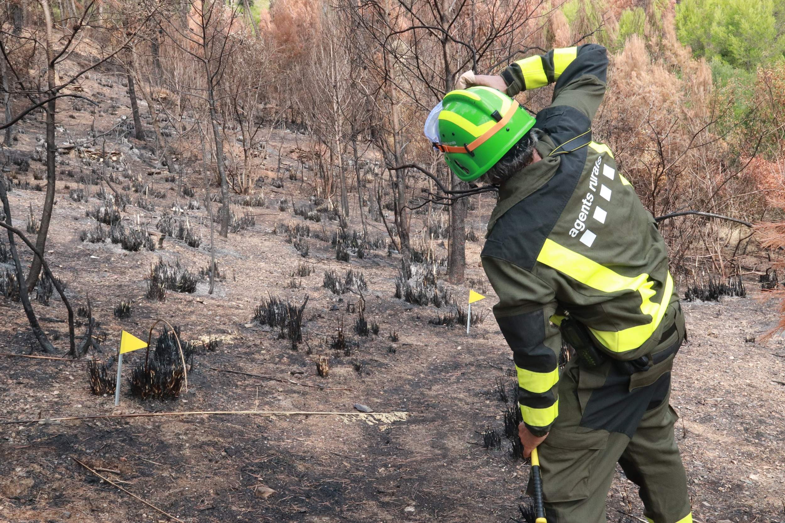 Catalunya s'enfronta a un cap de setmana d'alerta màxima per risc d'incendis forestals