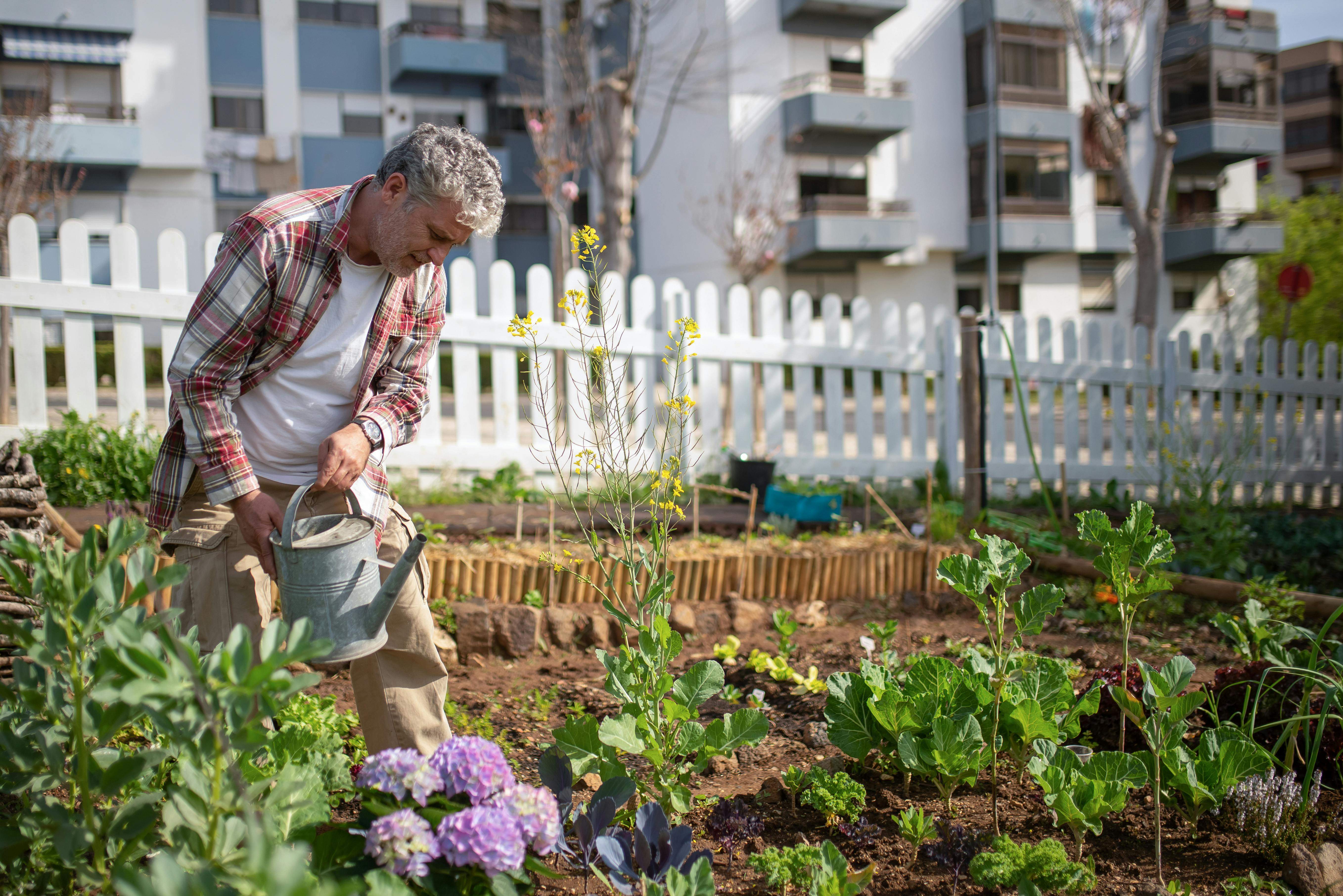 regar les plantes pexels