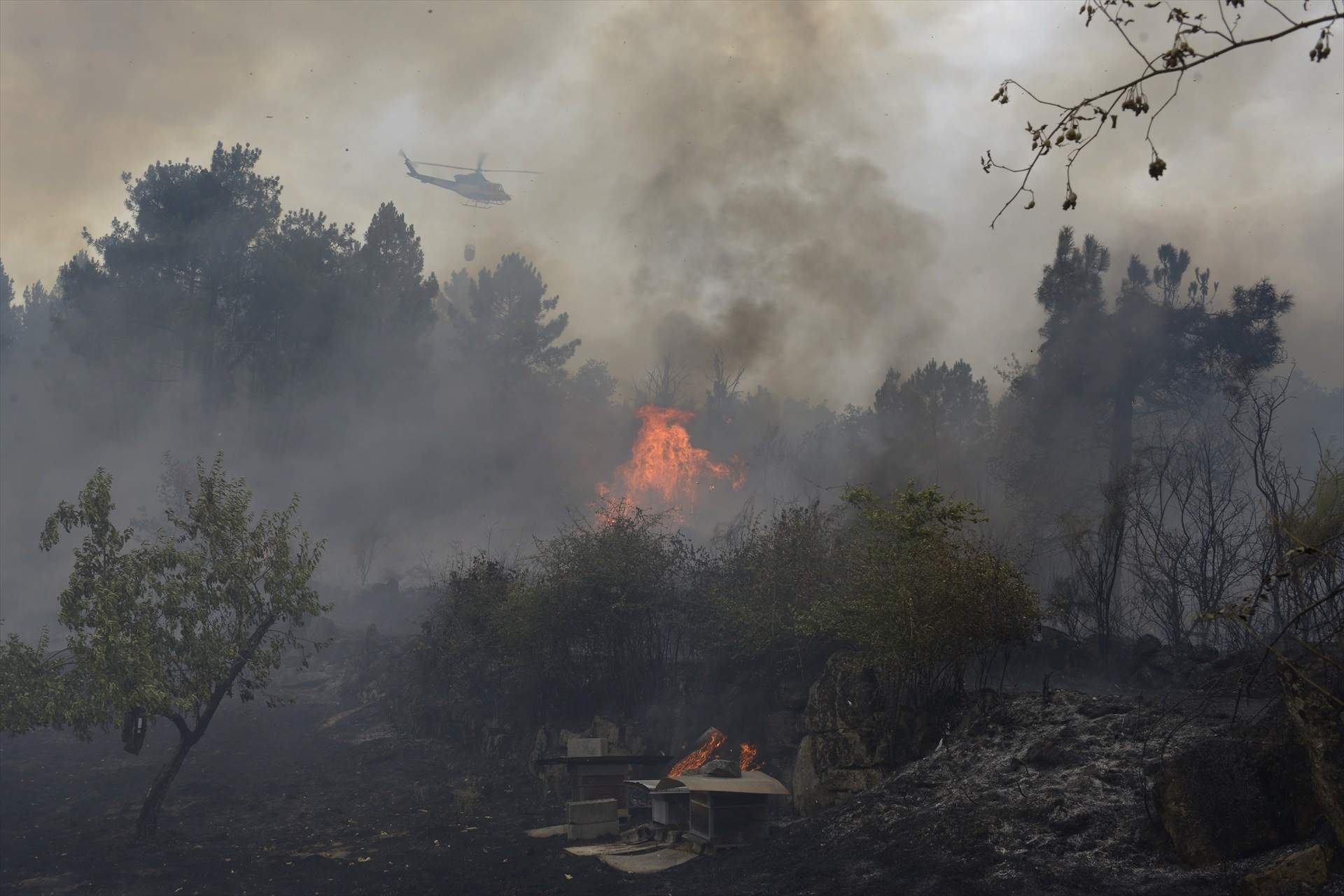 Detingut el presumpte autor de dos focus de l'incendi d'Ourense que ha deixat tres ferits greus