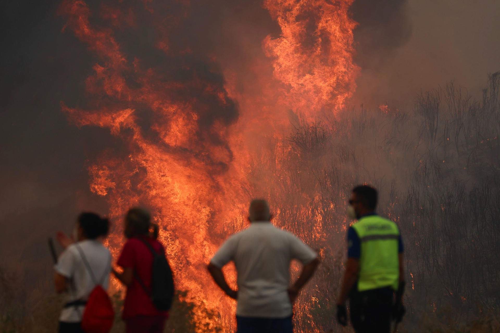 Setmana negra d'incendis a Espanya: més de 100.000 hectàrees cremades en només set dies