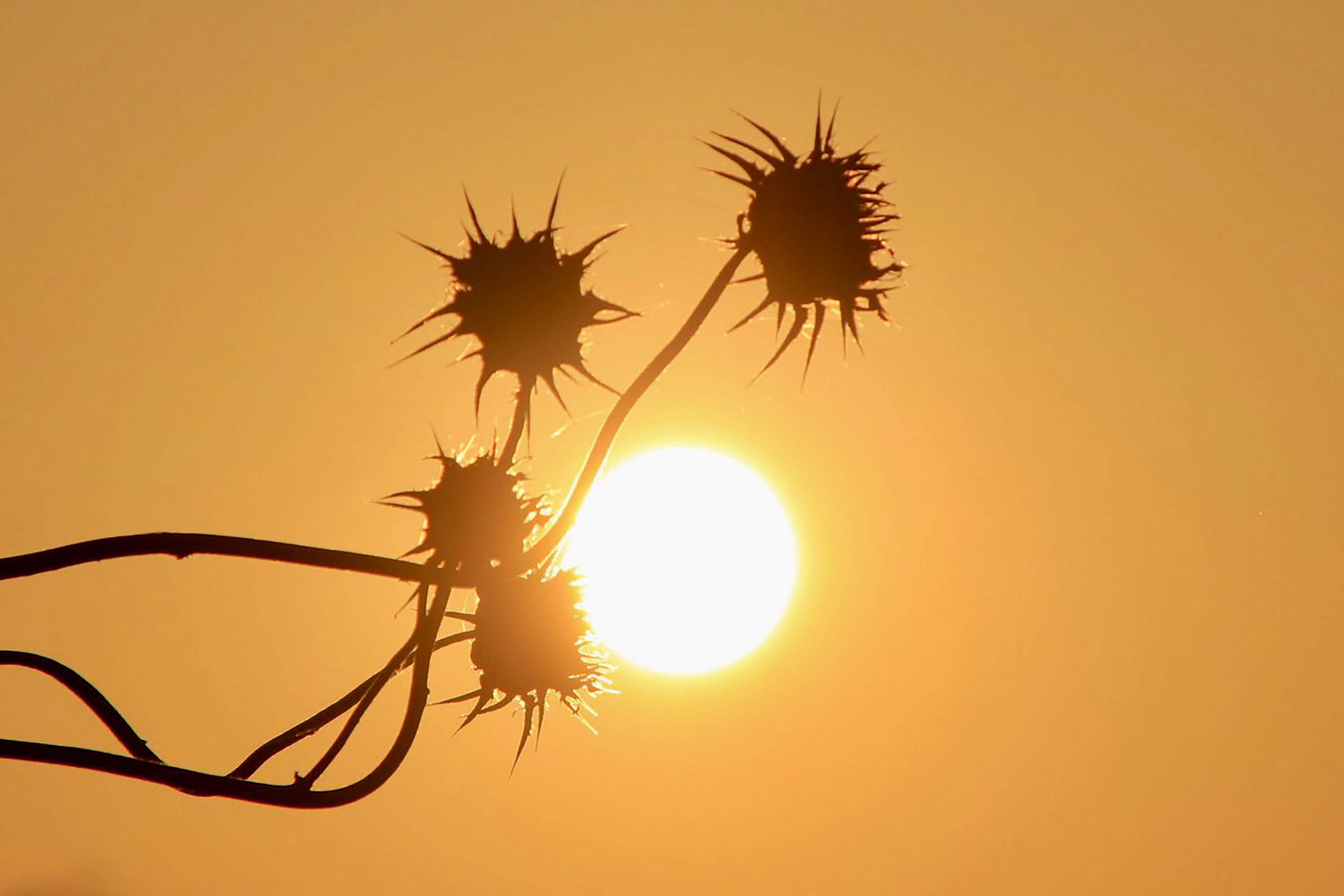 Cap de setmana sufocant a Catalunya: clímax de l'onada de calor amb termòmetres desbocats