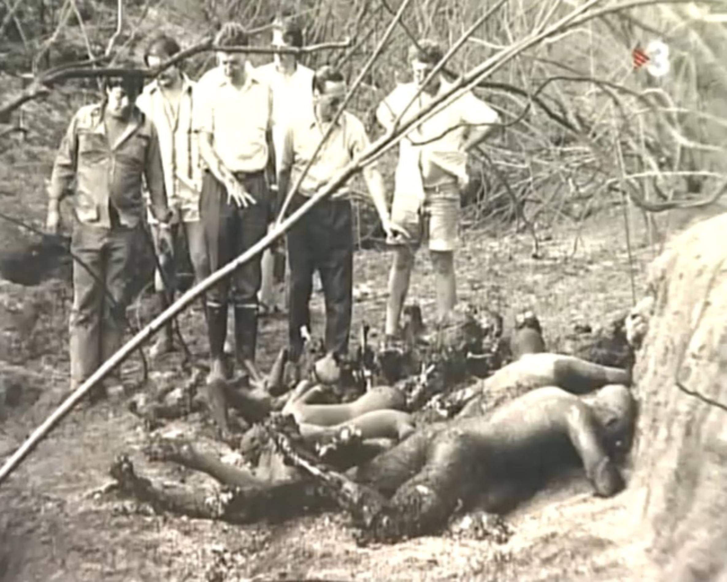 Localització d'un grup de víctimes abastades i carbonitzades pel foc. Font TV3