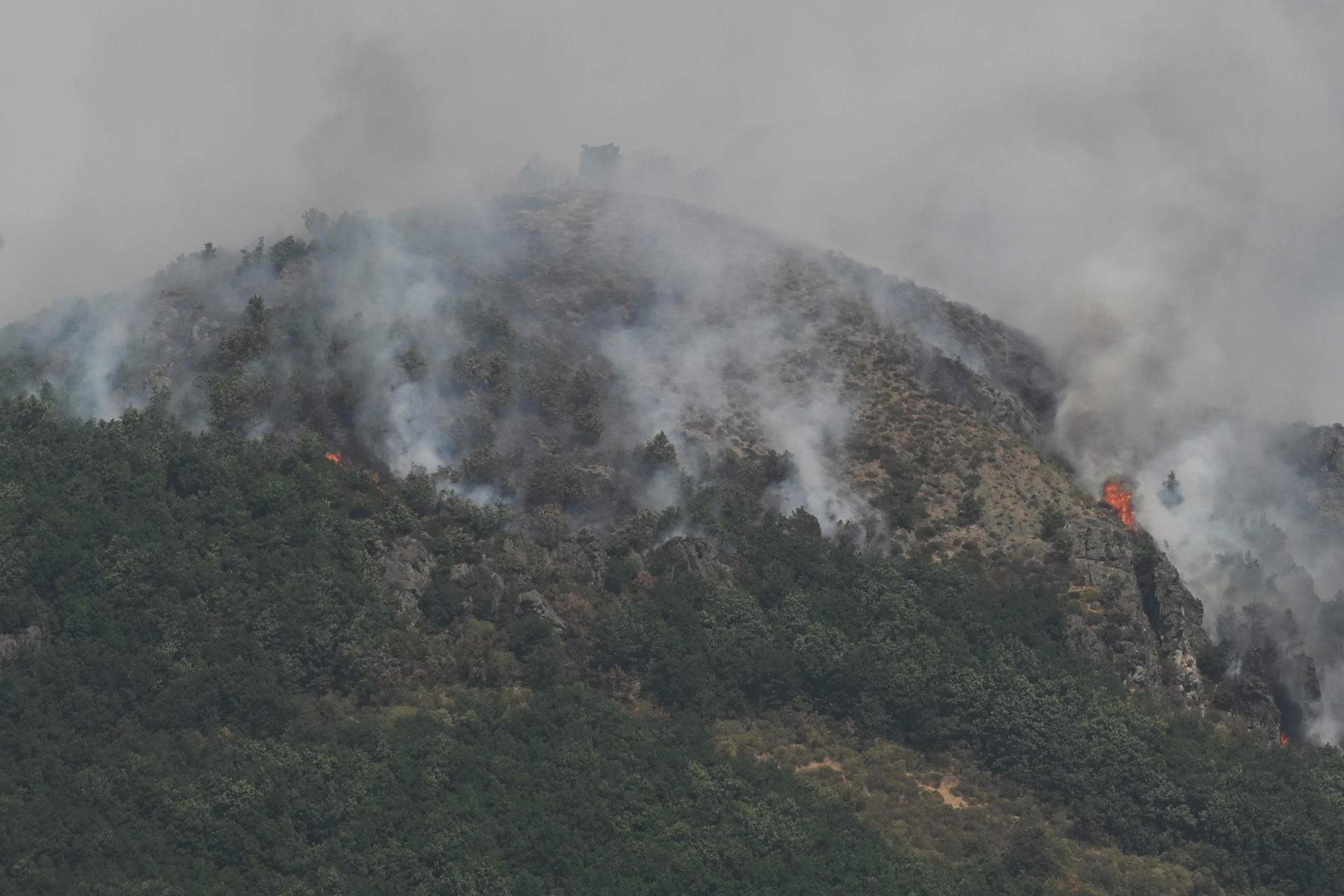 incendi picos de Europa / EFE