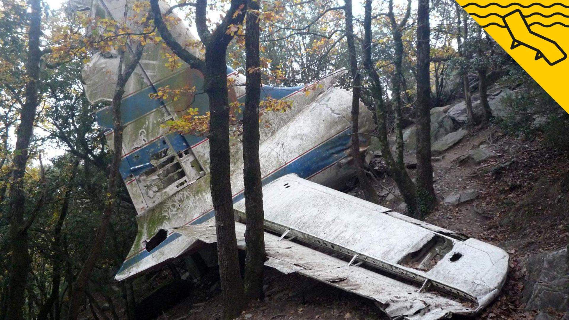 Un avió estavellat enmig del bosc: la impactant ruta a l'Alt Empordà
