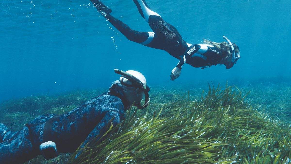 La Bluewave Alliance i l'Associació Vellmarí planten més de 37.000 plantes de posidònia