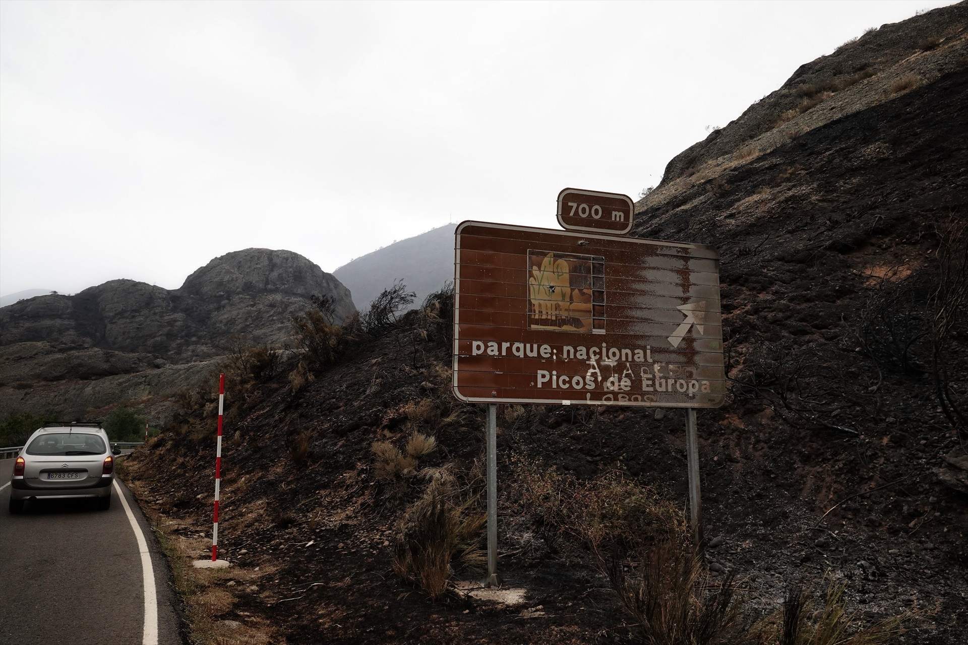Los incendios siguen quemando en España con la mirada puesta en una mejor situación meteorológica