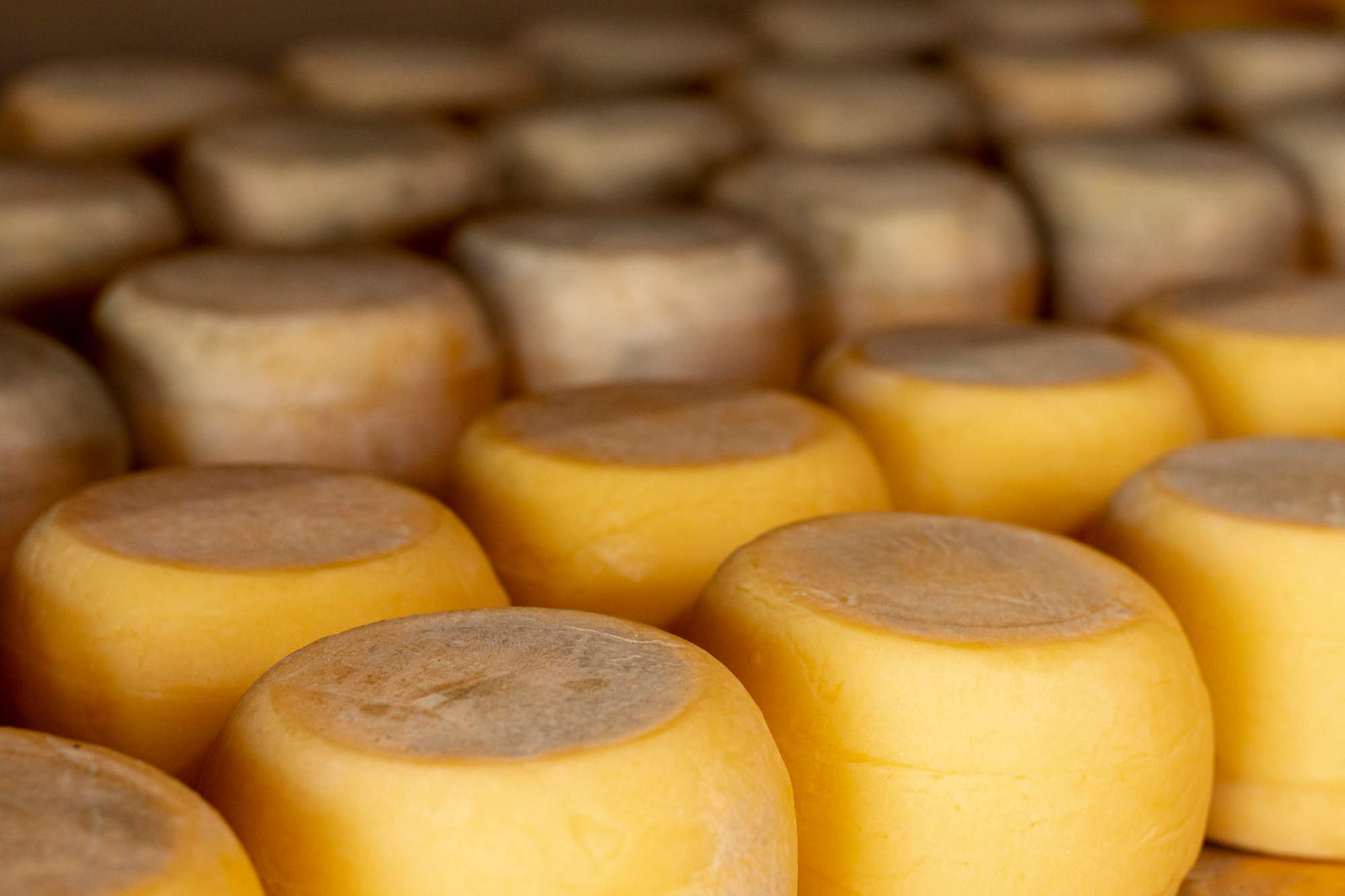 El sorprenent producte italià que va néixer per enganyar la duana i ara triomfa pel seu sabor