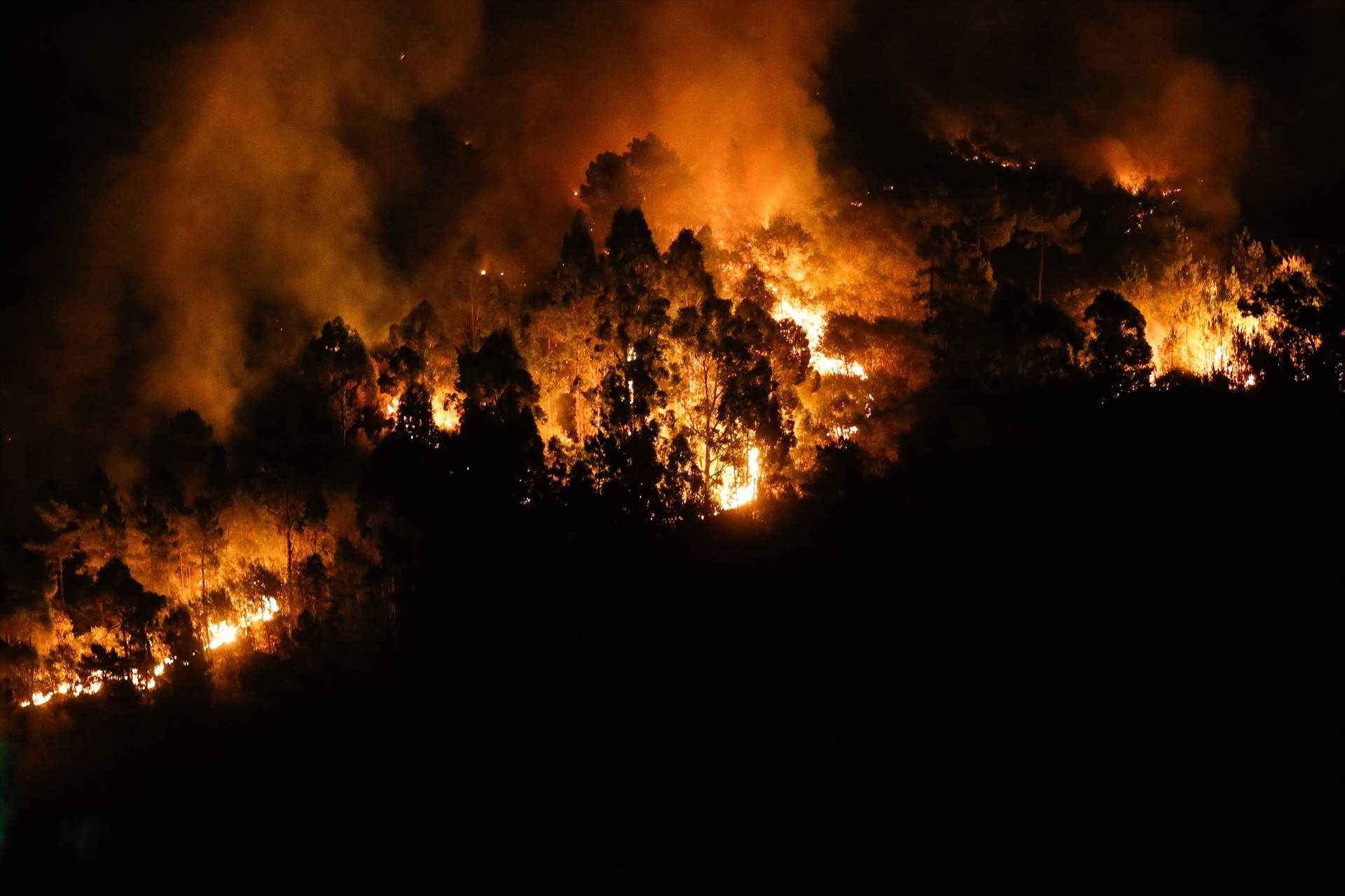 La Fiscalia relaciona la manca de plans de prevenció amb l'onada d’incendis i insta a exigir responsabilitats