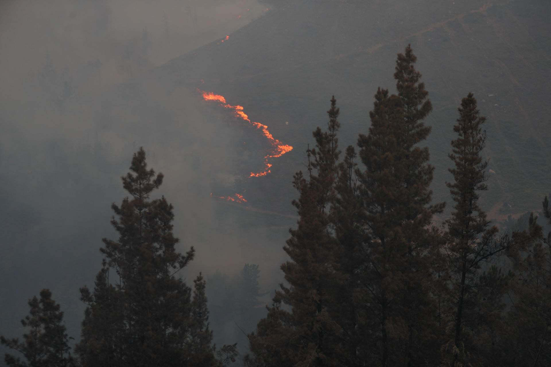 La situación por los incendios no mejora ni en Castilla y León ni en Galicia: nuevos focos y desalojos