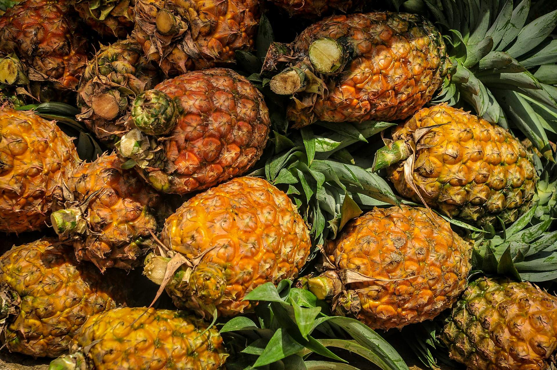 La receta de piña colada de Jordi Roca que entusiasmó a Andreu Buenafuente