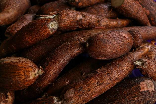 Yuca / Foto: Unsplash Yuca / Foto: Unsplash