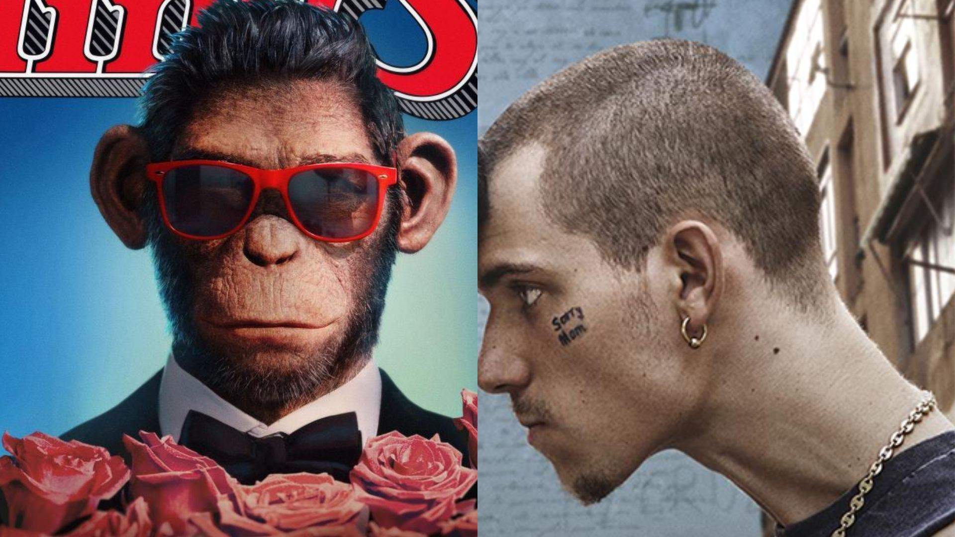 Estrenos que llegan a Netflix, Prime Video, Max y Movistar el 29 de agosto: qué ver este fin de semana