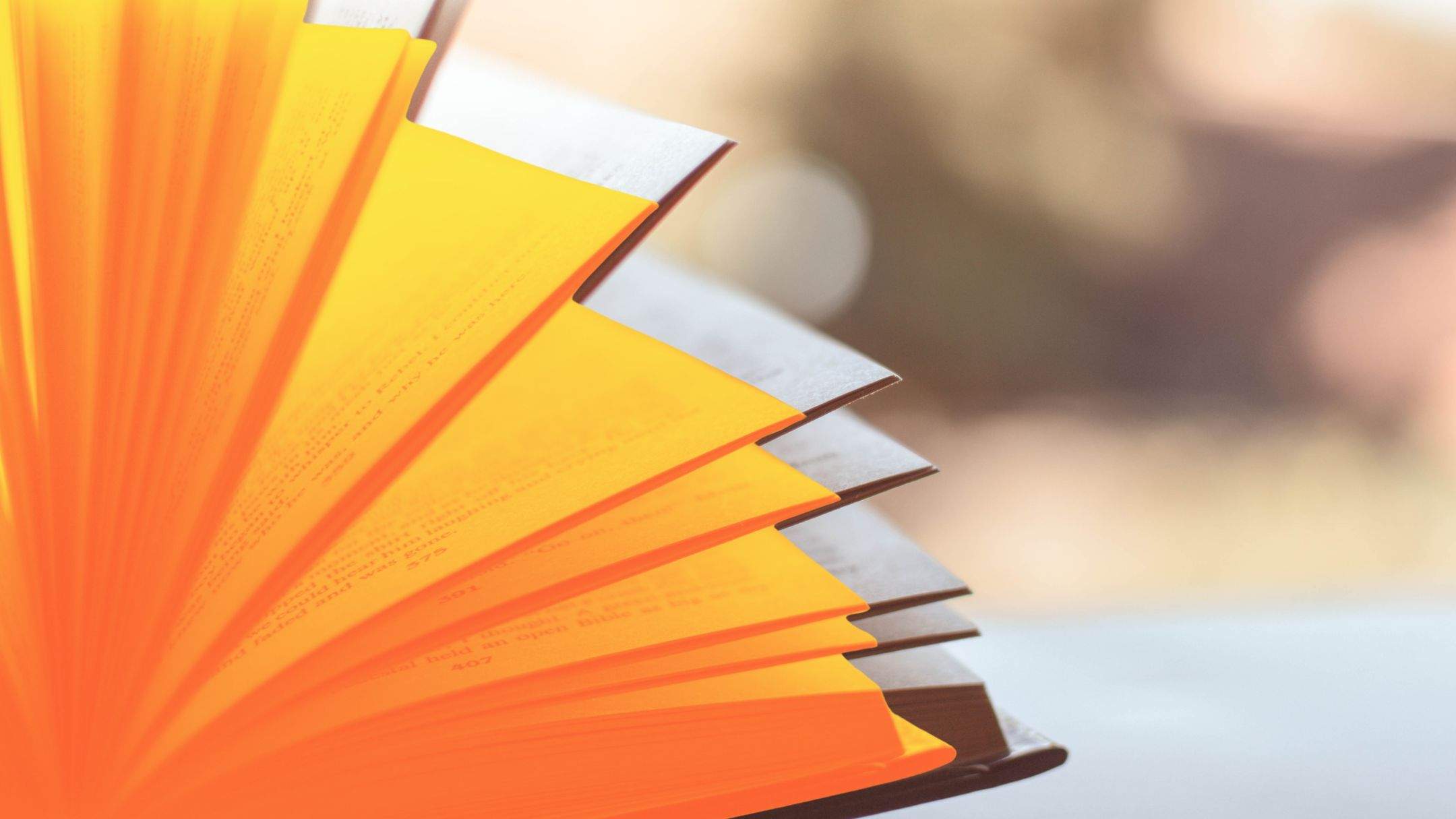 11 libros en catalán para leer y regalar este otoño