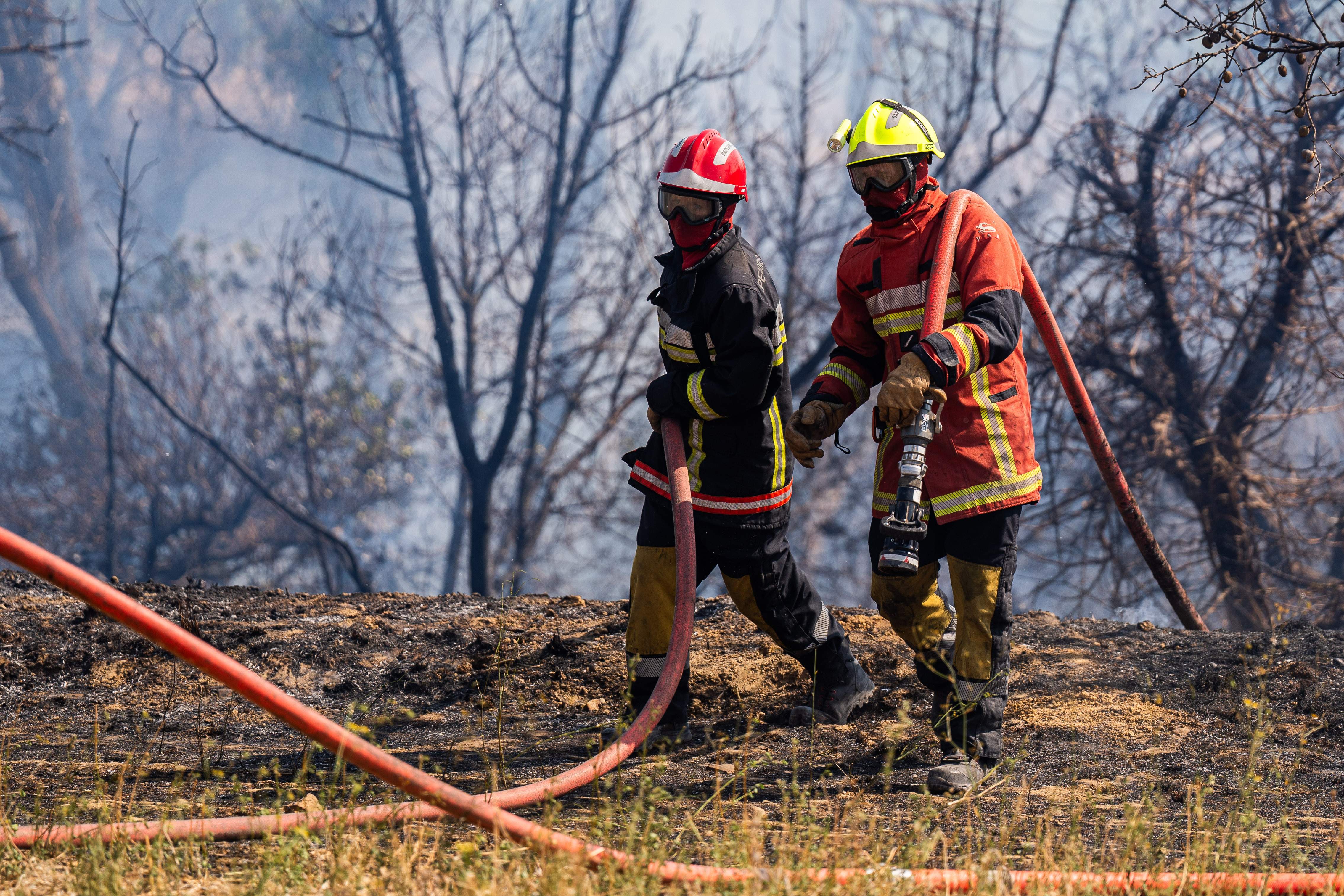 La policía migratoria de EE.UU. detiene a dos bomberos que combatían un incendio: "Residían ilegalmente"