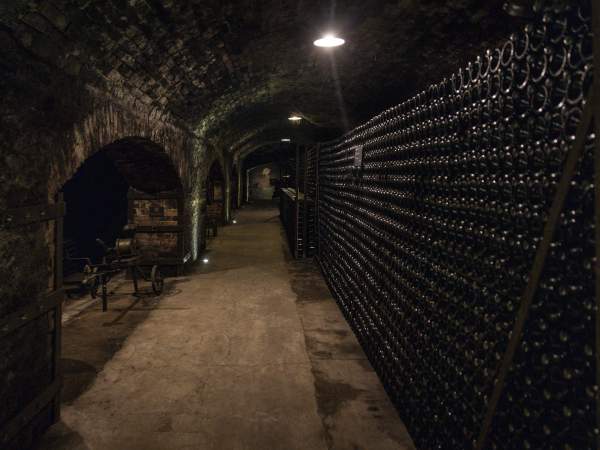 Interior del celler Torelló, a Gelida (Barcelona). Foto Carlos Baglietto Interior del celler Torelló, a Gelida (Barcelona). Foto Carlos Baglietto
