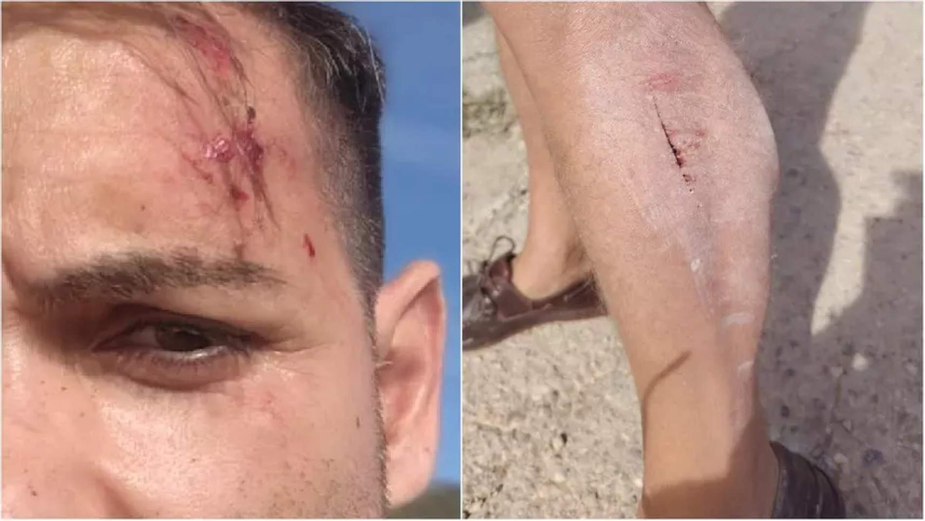 Pallissa brutal de dos ramaders del País Valencià a un redactor i un càmera d'À Punt