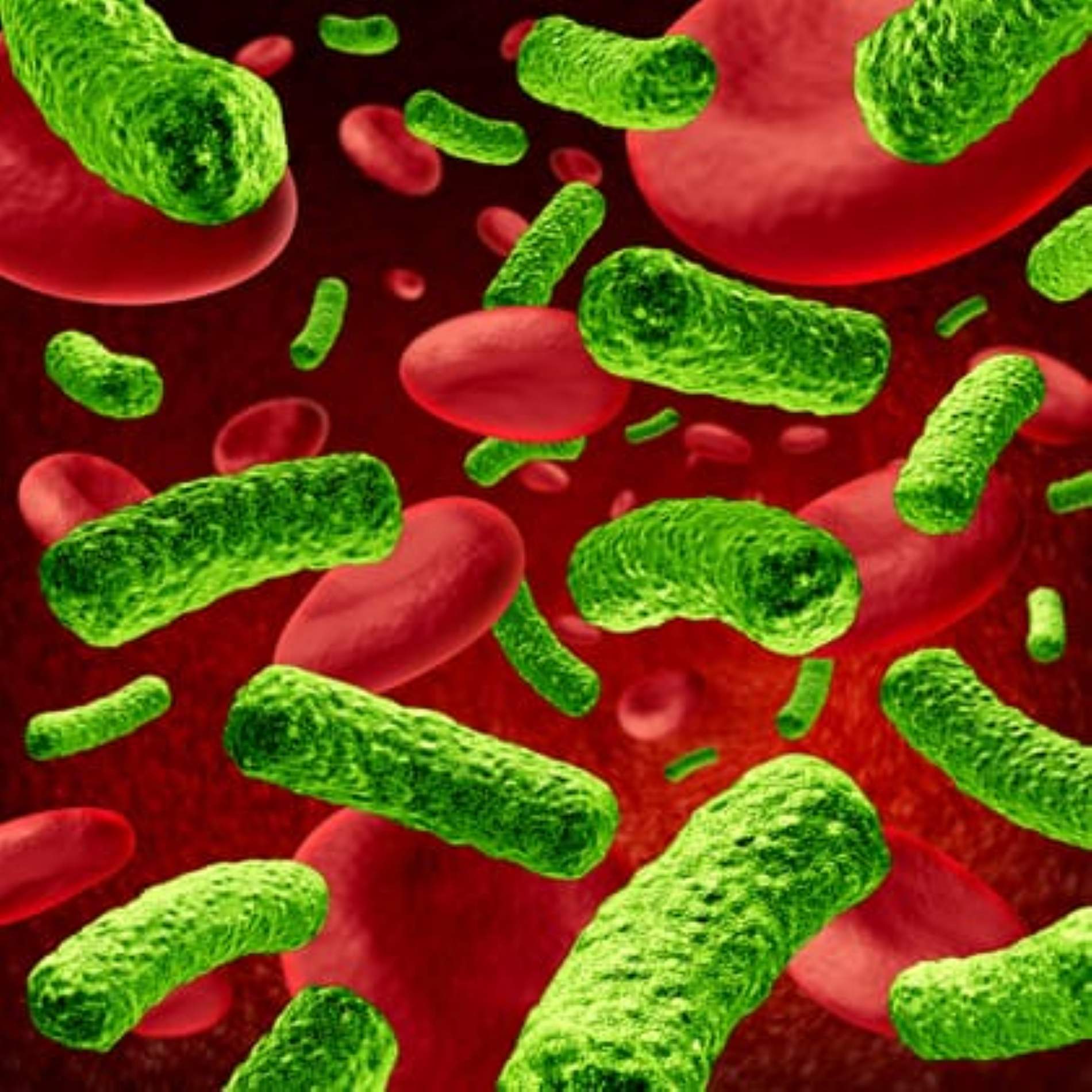 Un farmacèutic de Fondarella desenvolupa un test revolucionari per detectar la sèpsia